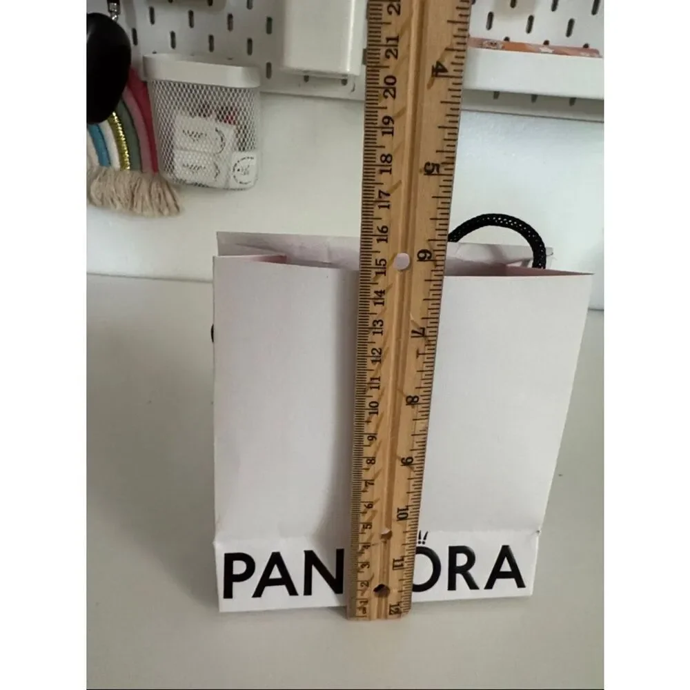 Pandora White Gift Bag with Two White Velvet Drawstring Pouches EUC